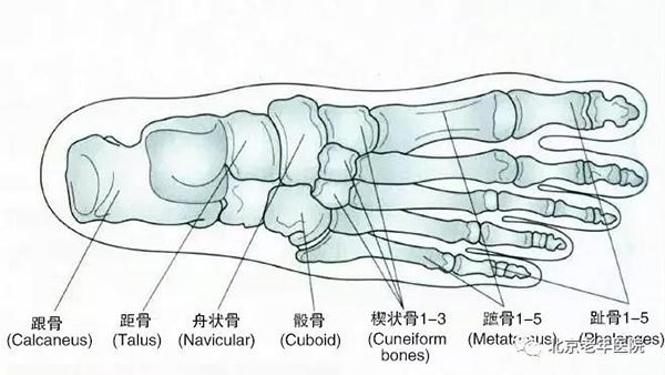 微信图片_20210106180227.jpg