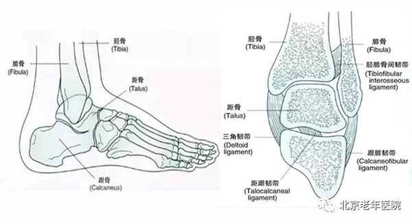 微信图片_20210106180234.jpg