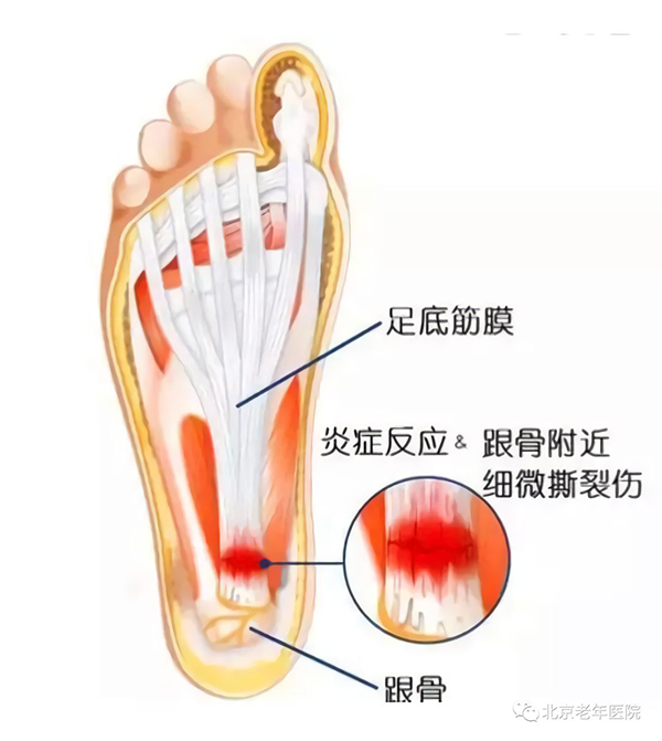 微信图片_20210106180318.jpg