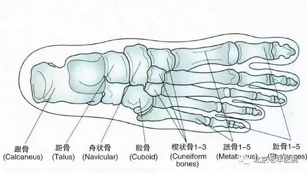 微信图片_20210106180353.jpg