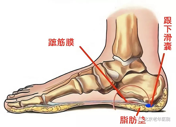 微信图片_20210106180407.jpg