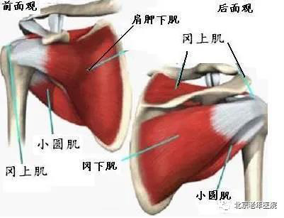 微信图片_20210106181001.jpg