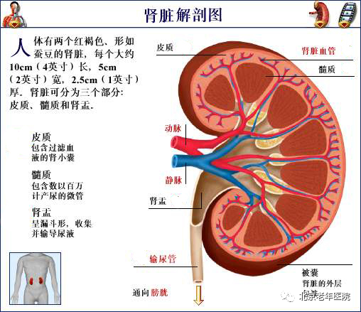 微信图片_20210325094217.png