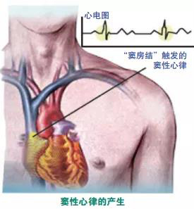 微信图片_20210715093303.jpg