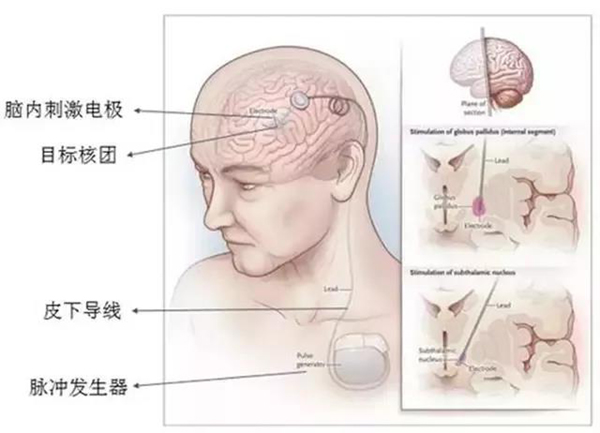 微信图片_20210909152831.jpg