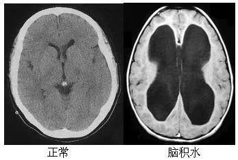 微信图片_20211220161718.jpg