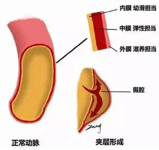 微信图片_20220302110723.jpg