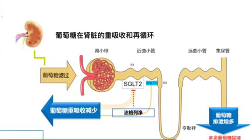 微信图片_20220614163700.jpg