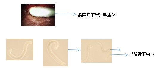 微信图片_20220818092029.jpg